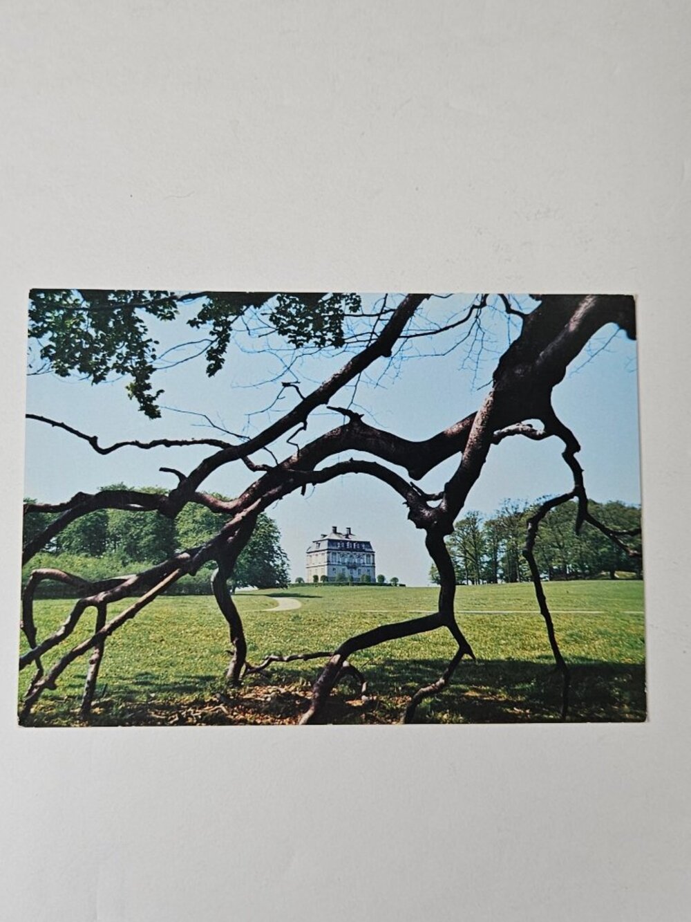 Kopenhagen The Deer Park and The Eremitage Postcard
